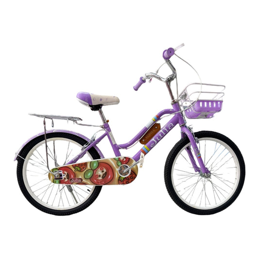 Bicicleta Rodado 20 J416-20
