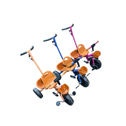 TRICICLO B698S